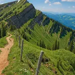 Jms Allgaeu Oberreute