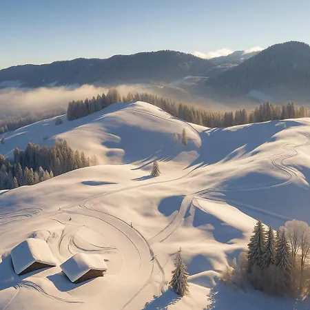 Jms Allgaeu