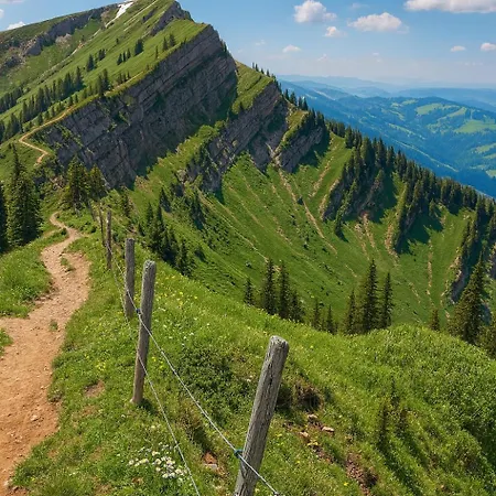 Jms Allgaeu Oberreute
