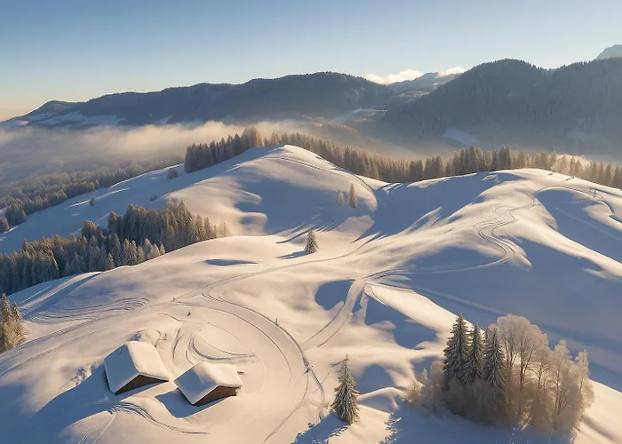 Jms Allgaeu